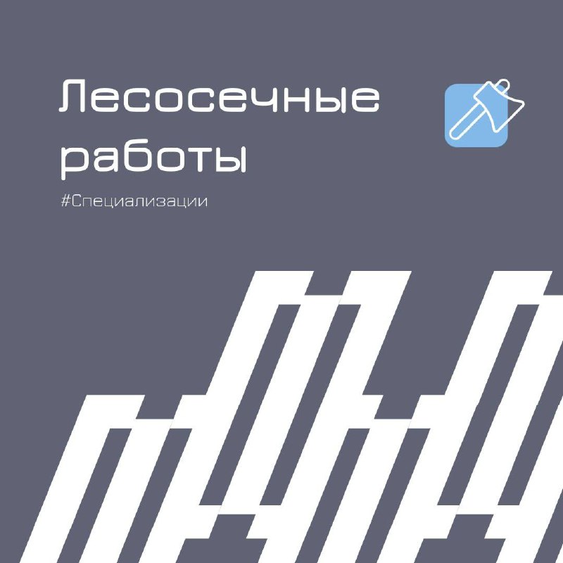 Азбука лесосечных работ: от лесосеки до сортимента 🌲
Площадь лесного фонда России составляет более 1,1 миллиарда гектаров!
Некоторые области обеспечены транспортной инфраструктурой (например, для конт... | Сетка — социальная сеть от hh.ru