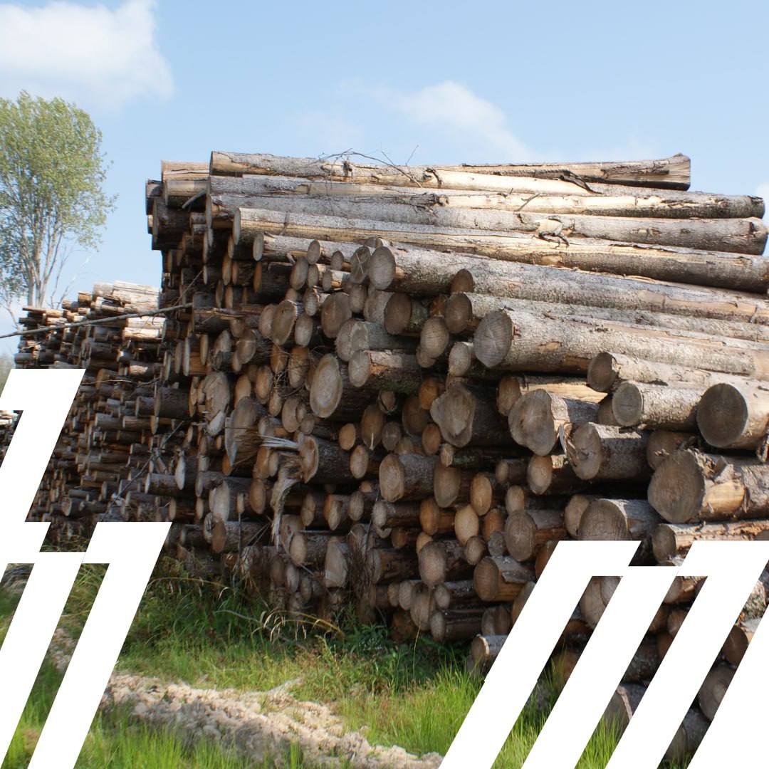 Азбука лесосечных работ: от лесосеки до сортимента 🌲
Площадь лесного фонда России составляет более 1,1 миллиарда гектаров!
Некоторые области обеспечены транспортной инфраструктурой (например, для конт... | Сетка — социальная сеть от hh.ru