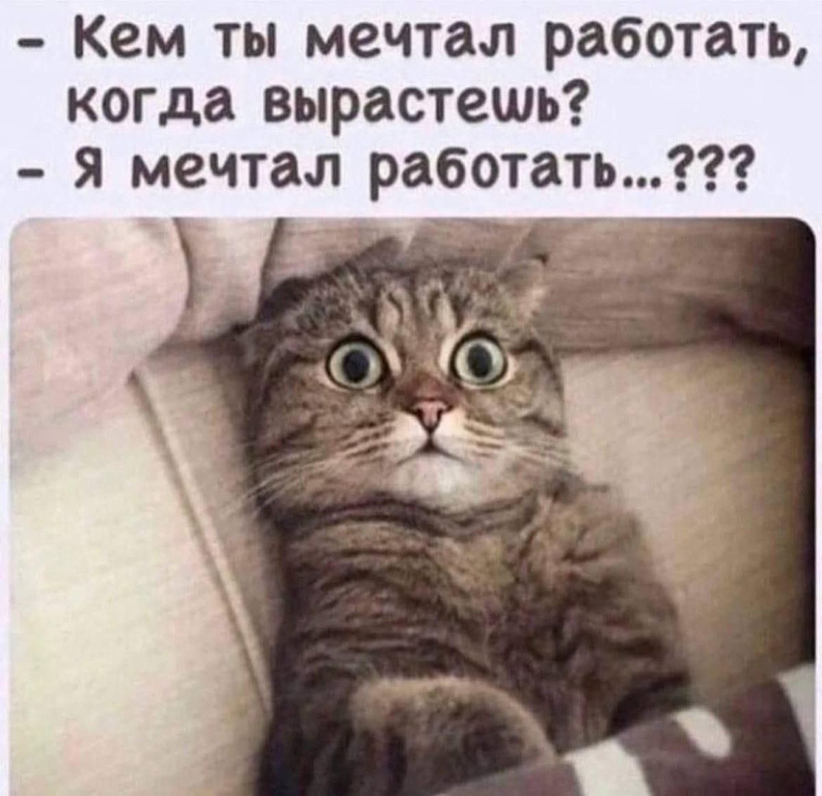 Пятничное настроение!!! | Сетка — социальная сеть от hh.ru