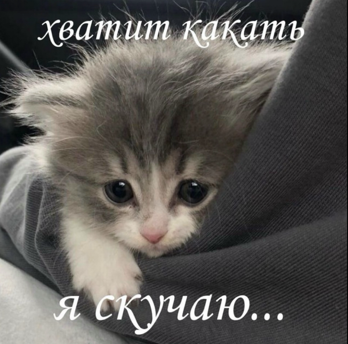 В комментариях кидаем любимый мем, а я напишу, что говорит о Вас⬇️⬇️⬇️ | Сетка — социальная сеть от hh.ru