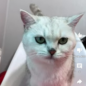 Оксана Зудова