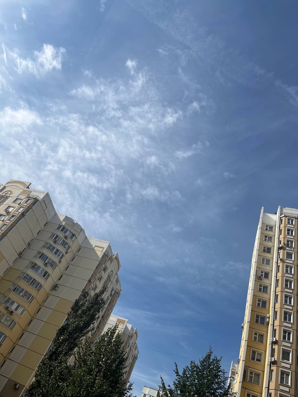 🌟 🌟 пример Джо показывает нам - не важно, какое у тебя образование и какая у тебя мораль, главное - какой ты балабол (у парня талант - с опорой на свою беспринципность - он удачно устраивается на «тёп... | Сетка — социальная сеть от hh.ru