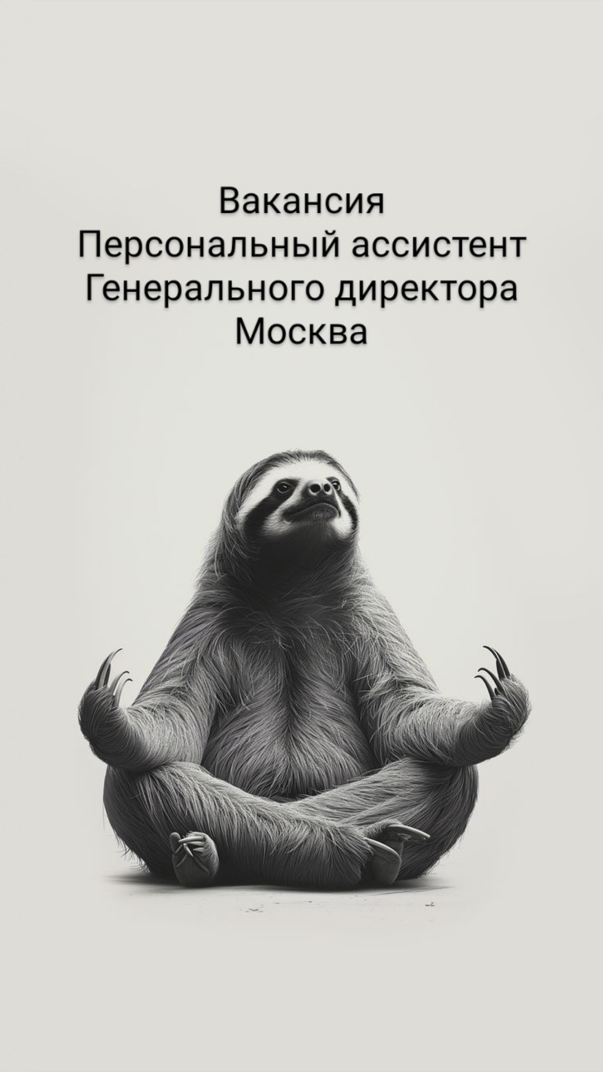 Персональный ассистент Генерального директора в крупное дизайнерское бюро
Компания реализует большой объем проектов для Минпромома, Правительства Москвы, крупных промышленных предприятий, проекты изве... | Сетка — социальная сеть от hh.ru
