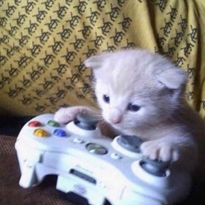 Иван Тарасенков | Сетка — социальная сеть от hh.ru