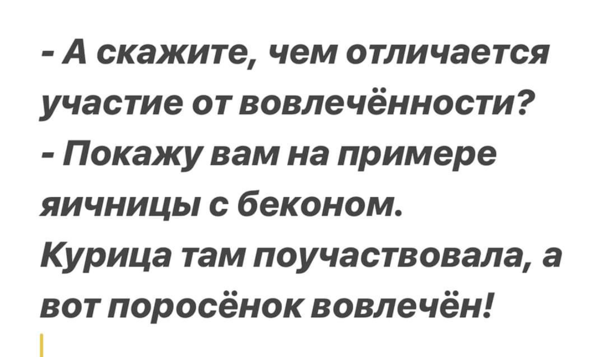 Сетка — социальная сеть от hh.ru