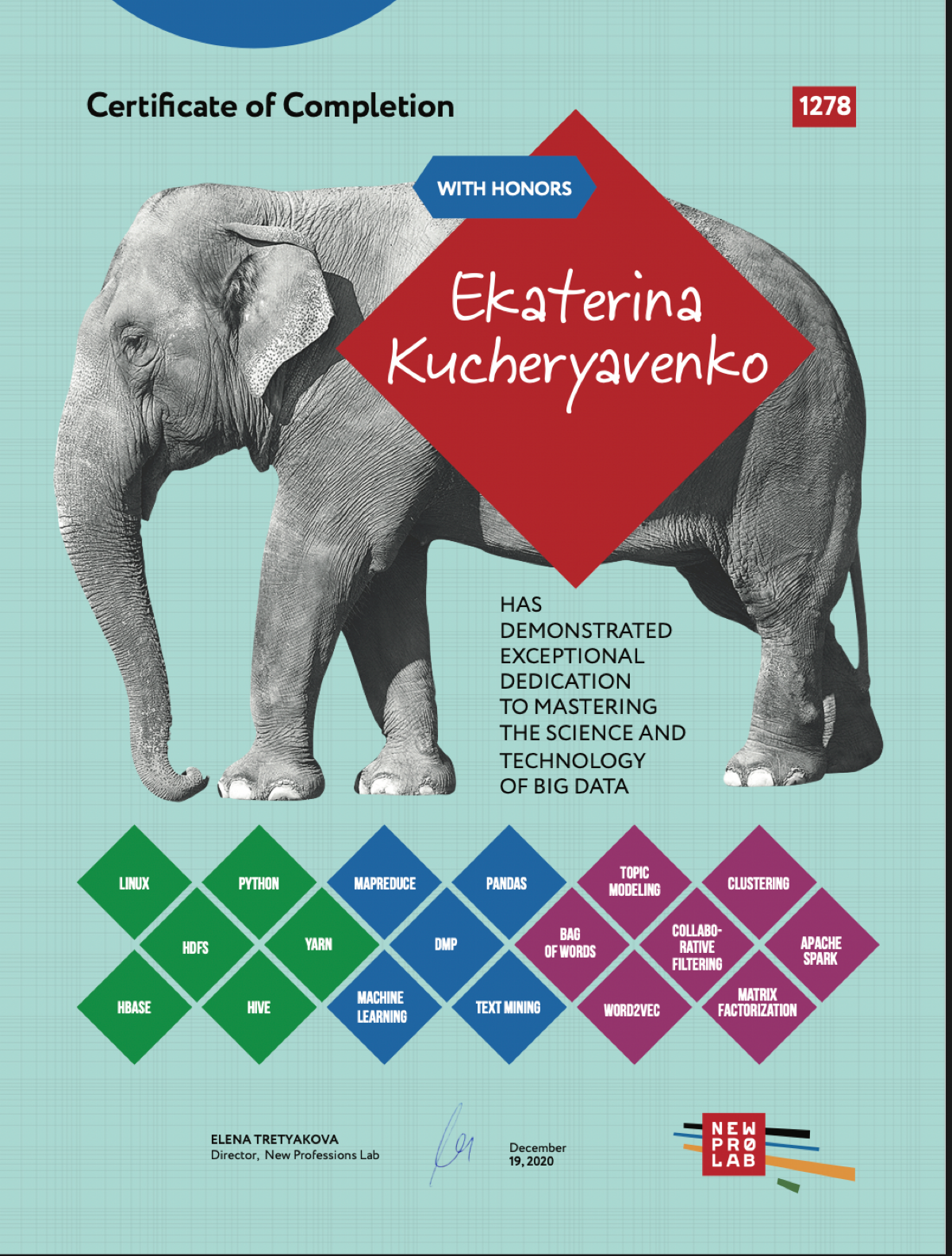 Network member avatar