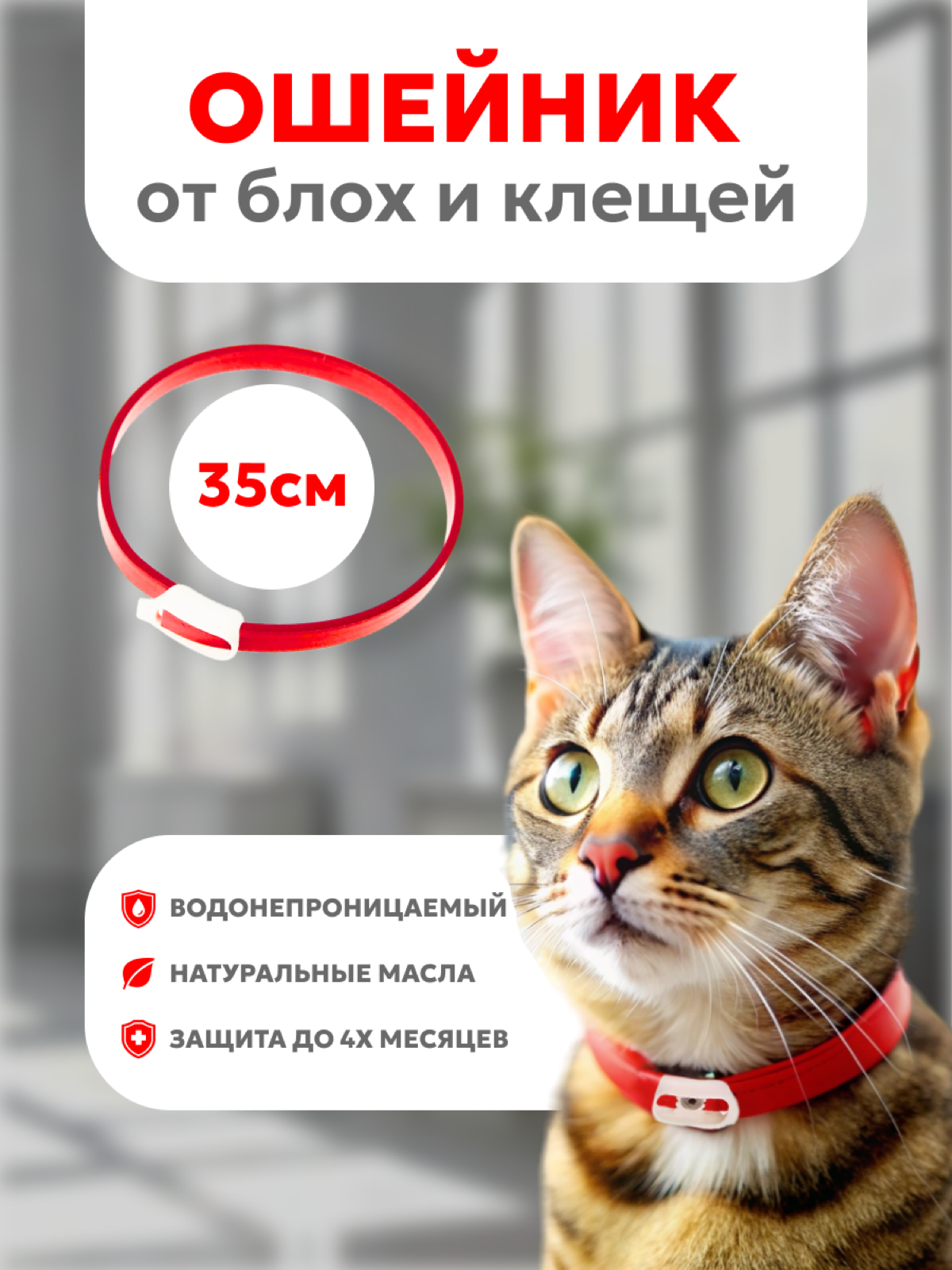 Привет всем в этом чатике!🖇️
🔸Я графический дизайнер!
Работа со мной будет легкой, я внимательно изучаю все запросы по проектам | Сетка — социальная сеть от hh.ru