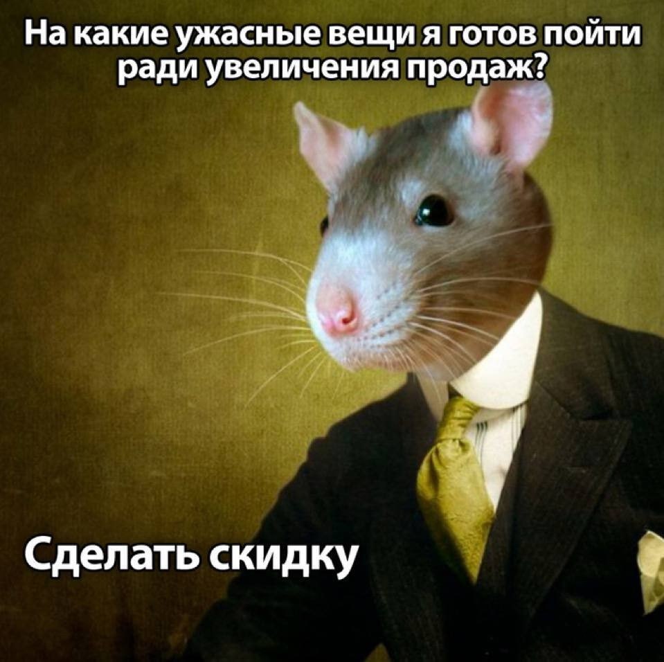 ➡️ отправь в телеге мем коллеге | Сетка — социальная сеть от hh.ru
