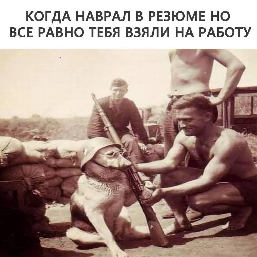 #IT
Твой Пакет Мемов | Сетка — социальная сеть от hh.ru
