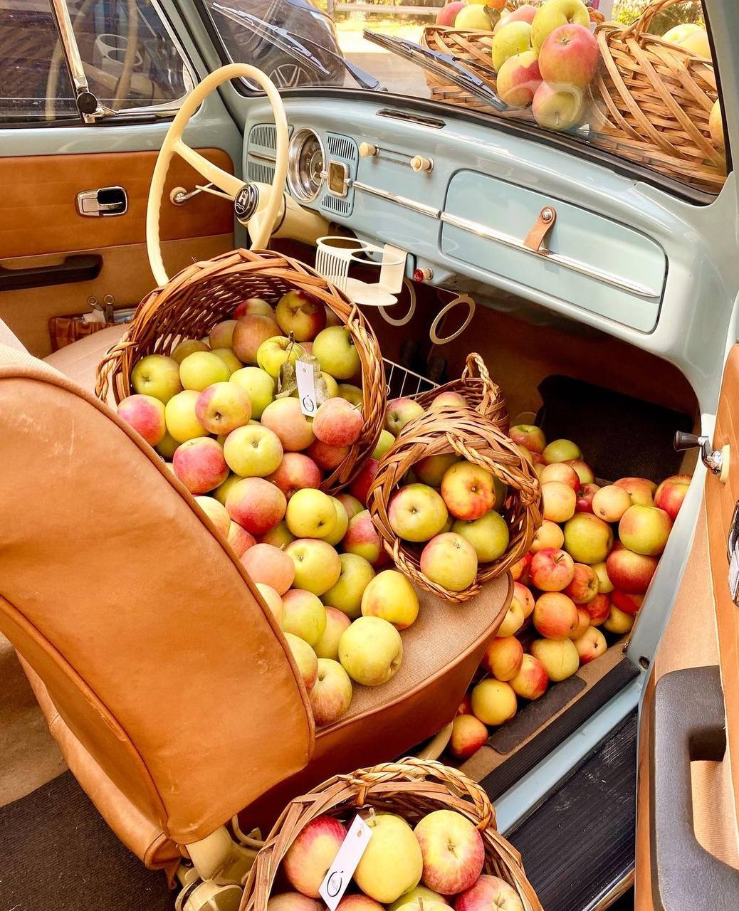 🍏 Новая яблочная фотолокация появилась в Москве
Автор фото: muza114
📍Спиридоньевский пер., 12/9
📲Подпишитесь на Вдвижении | Сетка — социальная сеть от hh.ru