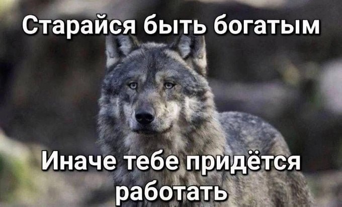 ➡️ отправь в телеге мем коллеге | Сетка — социальная сеть от hh.ru