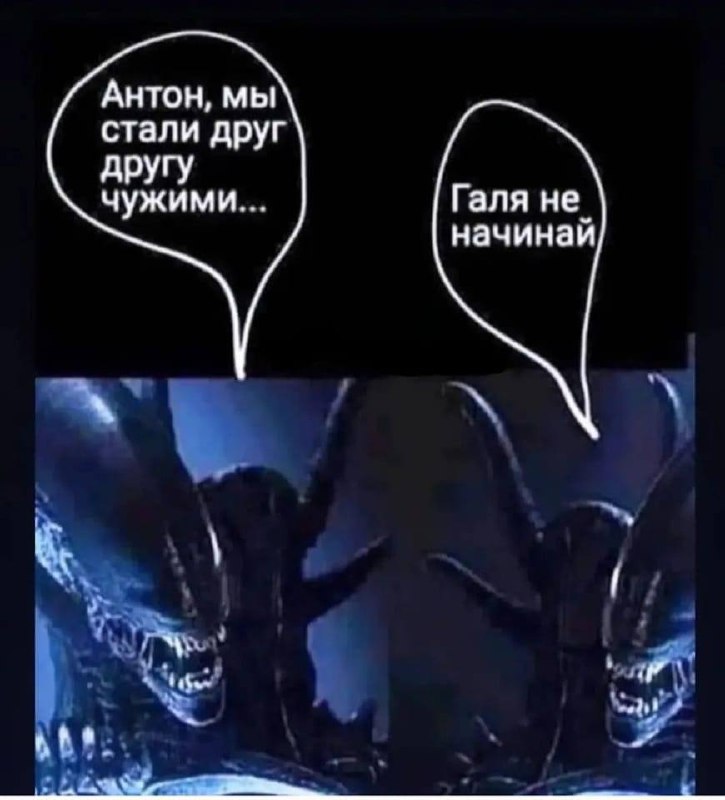 Сетка — социальная сеть от hh.ru