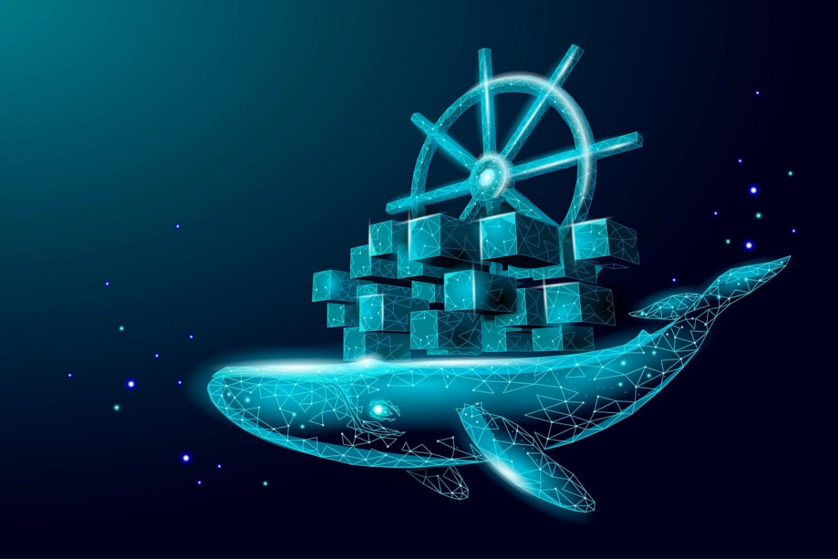 🐳🐋🚢 БАЗА по работе с Dockerfile и docker.compose.yml | Сетка — социальная сеть от hh.ru