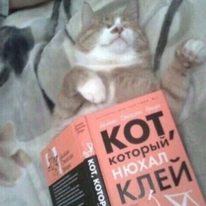 Павел Денисов