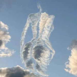 Максим Кайот | Сетка — социальная сеть от hh.ru