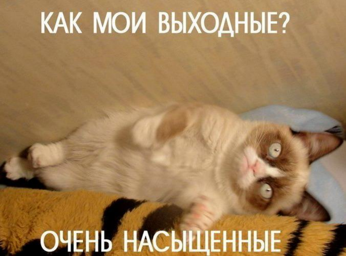 Выходные подходят к концу...😏 | Сетка — социальная сеть от hh.ru