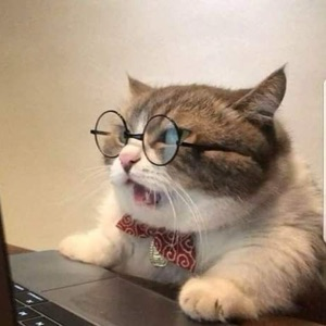 Сергей Быков | Сетка — социальная сеть от hh.ru