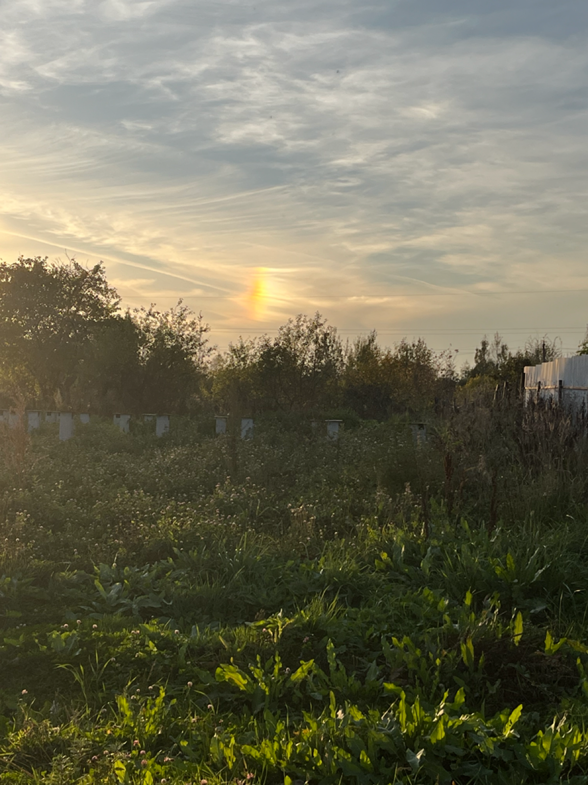 Как же прекрасна природа! Причем любое время года. Можно не любить осень, зиму. Но любить погоду и природу нужно во всех проявлениях , ведь именно с них порой , начинается любой разговор ❤️ | Сетка — социальная сеть от hh.ru