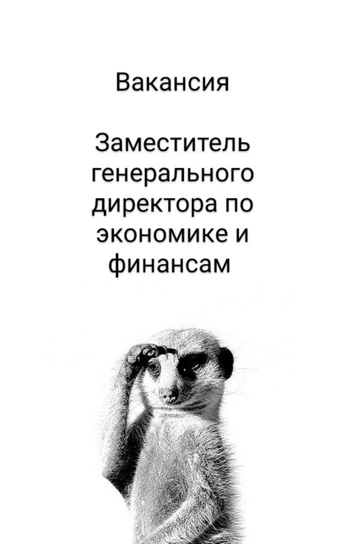 ВАКАНСИЯ: Заместитель генерального директора по экономике и финансам
КОМПАНИЯ: в ПАО Россети Ленэнерго
ЗАДАЧИ:

контролировать финансовую и хозяйственную деятельности Общества и обеспечивает наиболее ... | Сетка — социальная сеть от hh.ru