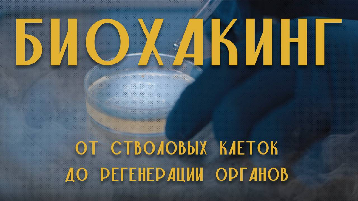 Подкаст «Биохакинг»: от столовых клеток до регенерации органов.
Программирование клеток это как рефакторинг, только если ошибся - откатиться уже не получится | Сетка — социальная сеть от hh.ru