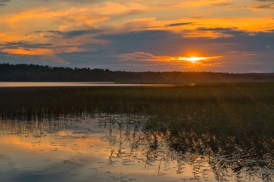 Несколько озёр Выборгского района Ленобласти: Соколиное, Лунное (фото 7), Веллампи (фото 8), Такалампи (фото 9). | Сетка — социальная сеть от hh.ru