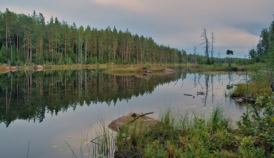 Несколько озёр Выборгского района Ленобласти: Соколиное, Лунное (фото 7), Веллампи (фото 8), Такалампи (фото 9). | Сетка — социальная сеть от hh.ru