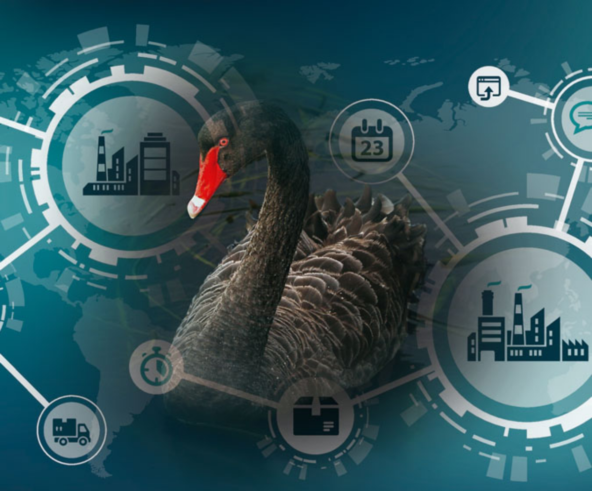 Как управлять цепями поставок, когда риски прилета черных лебедей так высоки
Хрупкий мир неожиданно треснул и разрушился, теперь мы все жители SHIVA-мира, в котором SCM изменились | Сетка — социальная сеть от hh.ru