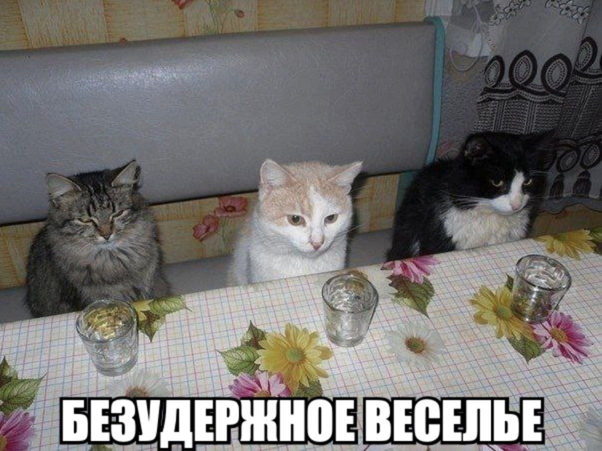 40+ идей для онлайн-событий. Часть первая.
В этом посте начнем разбирать идеи, темы и механики для проведения мероприятий. Материал основан на контенте CMJ | Сетка — социальная сеть от hh.ru