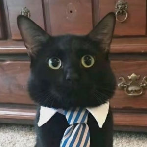 Ольга Лыкова