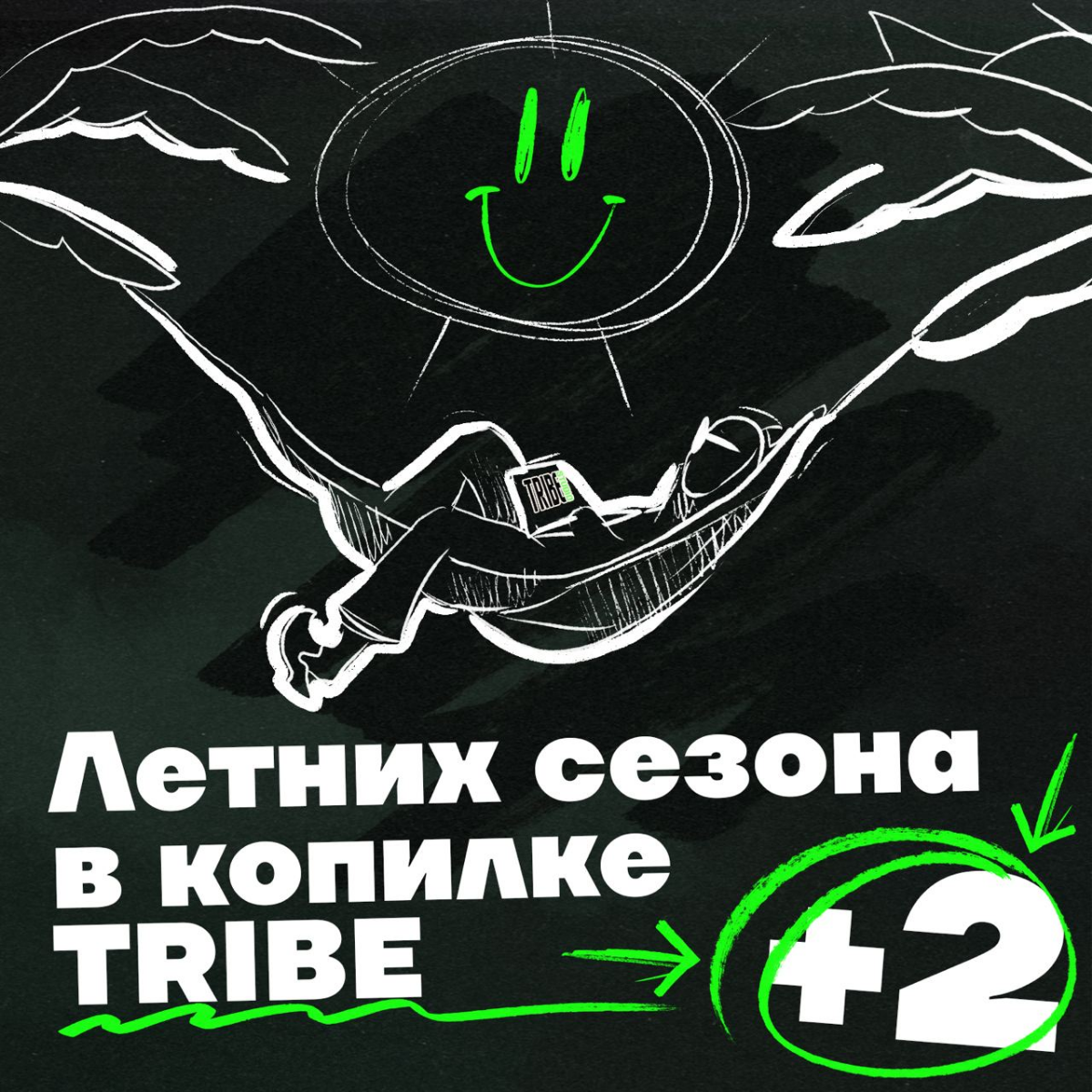 Привет! Мы-TRIBE! | Сетка — социальная сеть от hh.ru