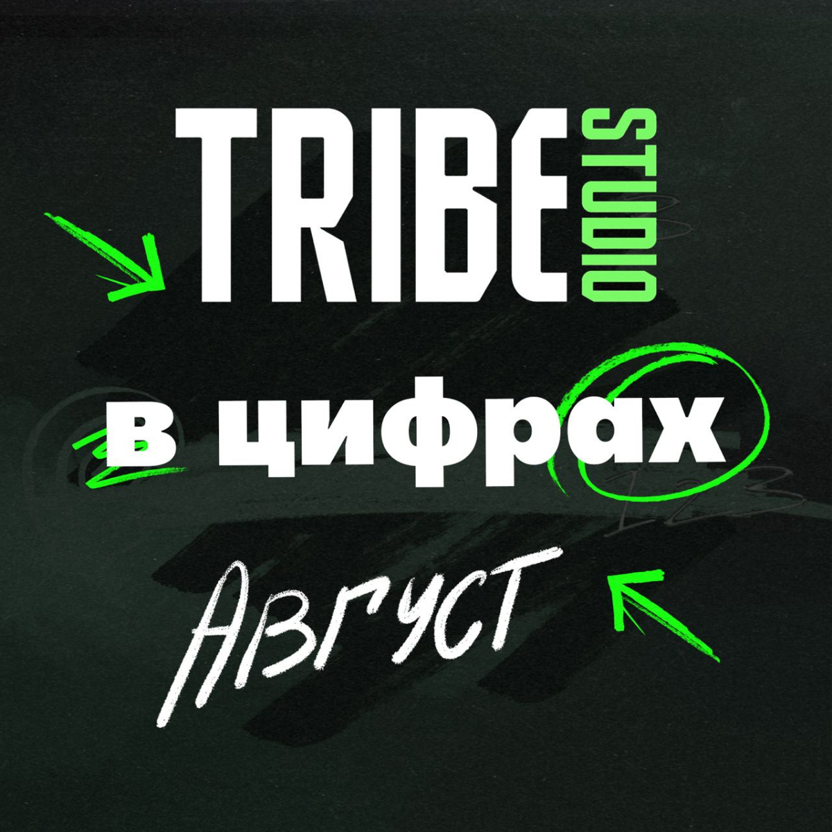 Привет! Мы-TRIBE! | Сетка — социальная сеть от hh.ru