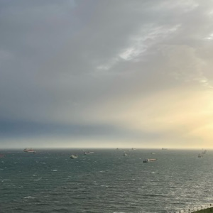 Международная торговля