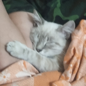 Андрей Смирнов