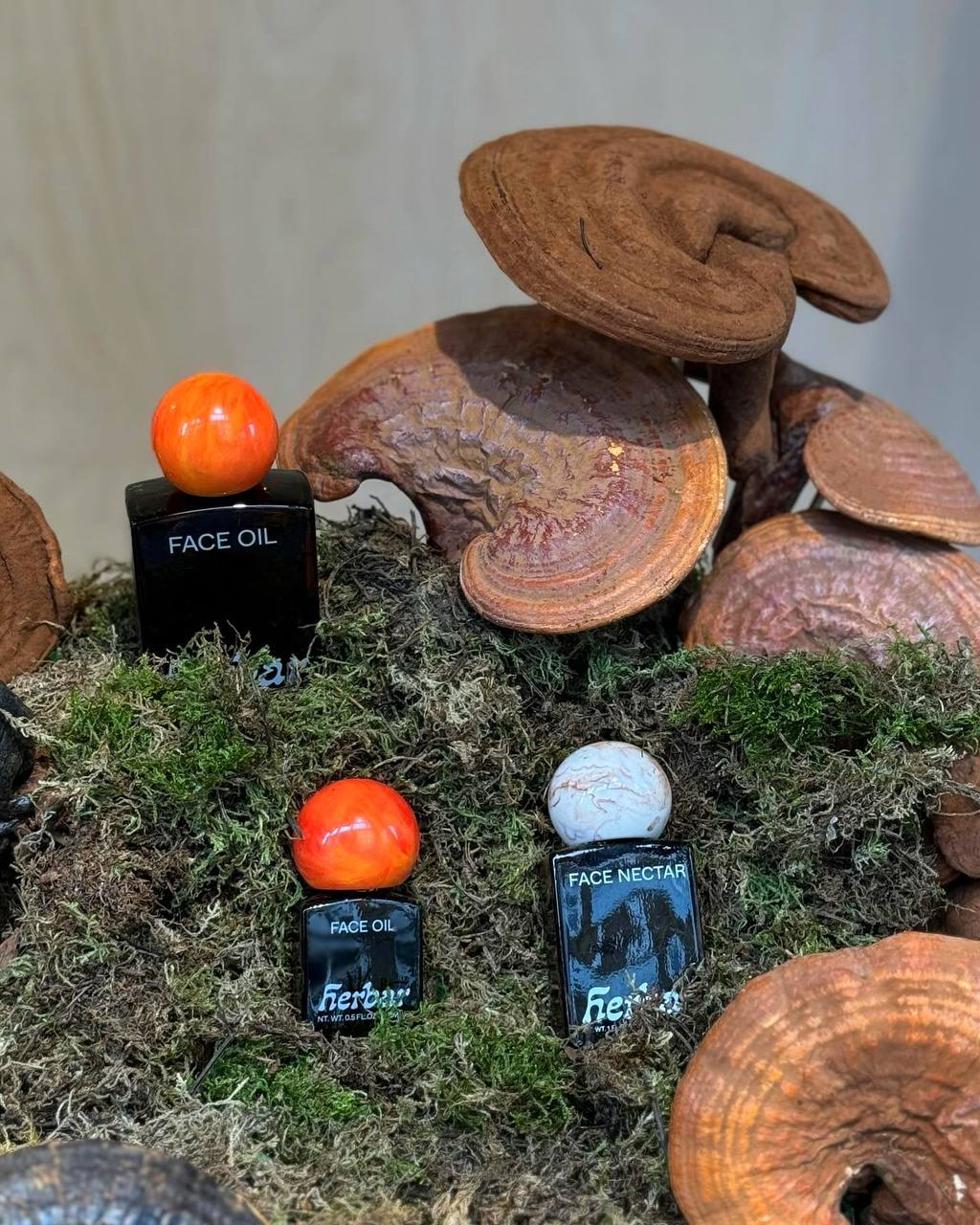 Неделю предлагаю начать с симпатичной коллаборации одежды goodhood × уходовой косметики herbar
— к сезону грибов herbar для погружения в концепцию своего бренда украсили витрину goodhood настоящими гр... | Сетка — социальная сеть от hh.ru