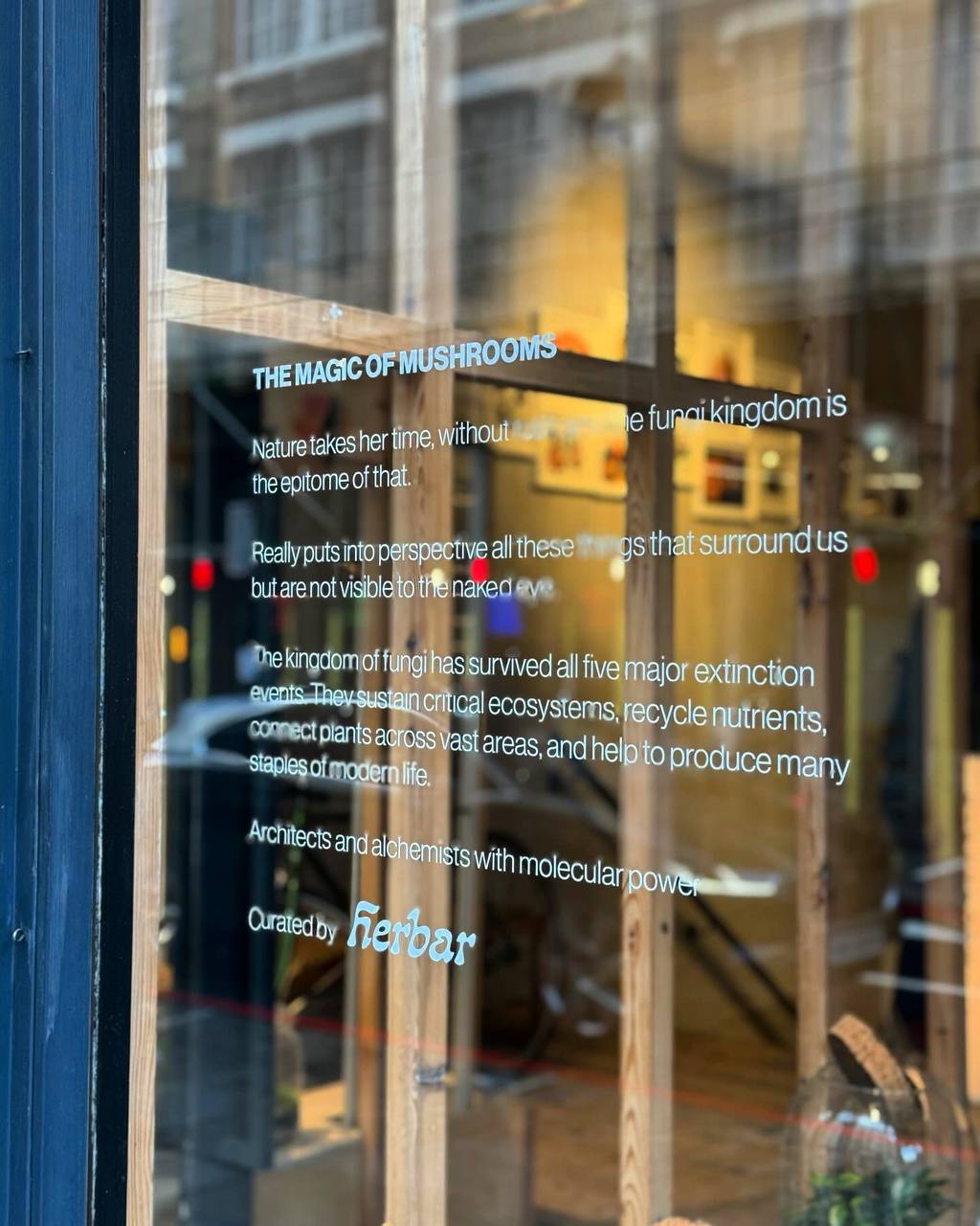 Неделю предлагаю начать с симпатичной коллаборации одежды goodhood × уходовой косметики herbar
— к сезону грибов herbar для погружения в концепцию своего бренда украсили витрину goodhood настоящими гр... | Сетка — социальная сеть от hh.ru