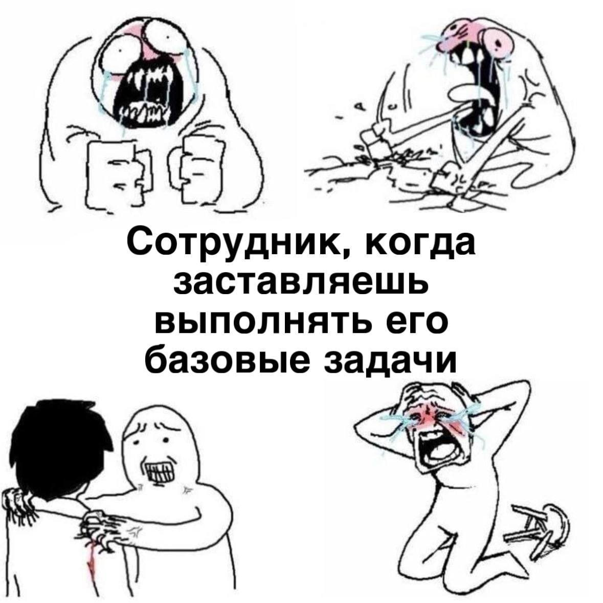 ➡️ отправь в телеге мем коллеге | Сетка — социальная сеть от hh.ru