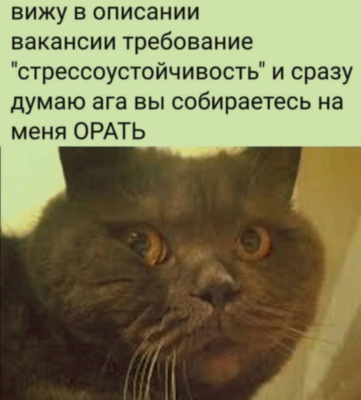 При чтении вакансии, какие мысли посещают вас?) | Сетка — социальная сеть от hh.ru