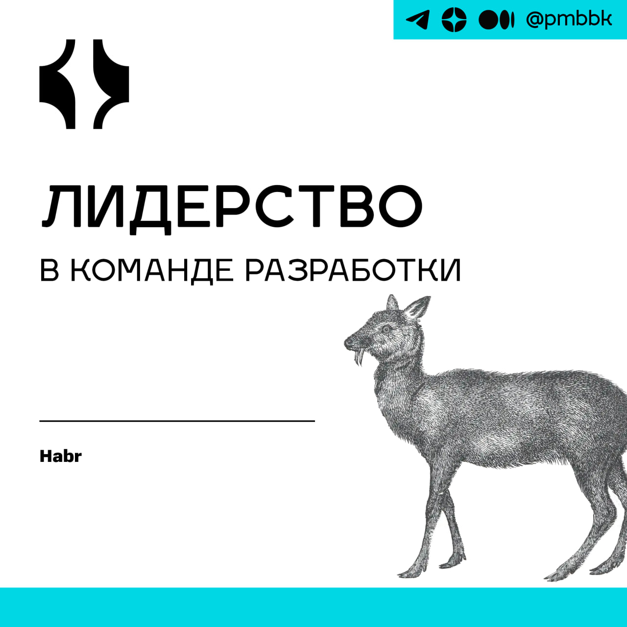 😑 Лидерство в команде разработки
В нашей команде девять человек, которые пишут на разных языках и живут в разных городах, у них разный возраст и профессиональный опыт | Сетка — социальная сеть от hh.ru