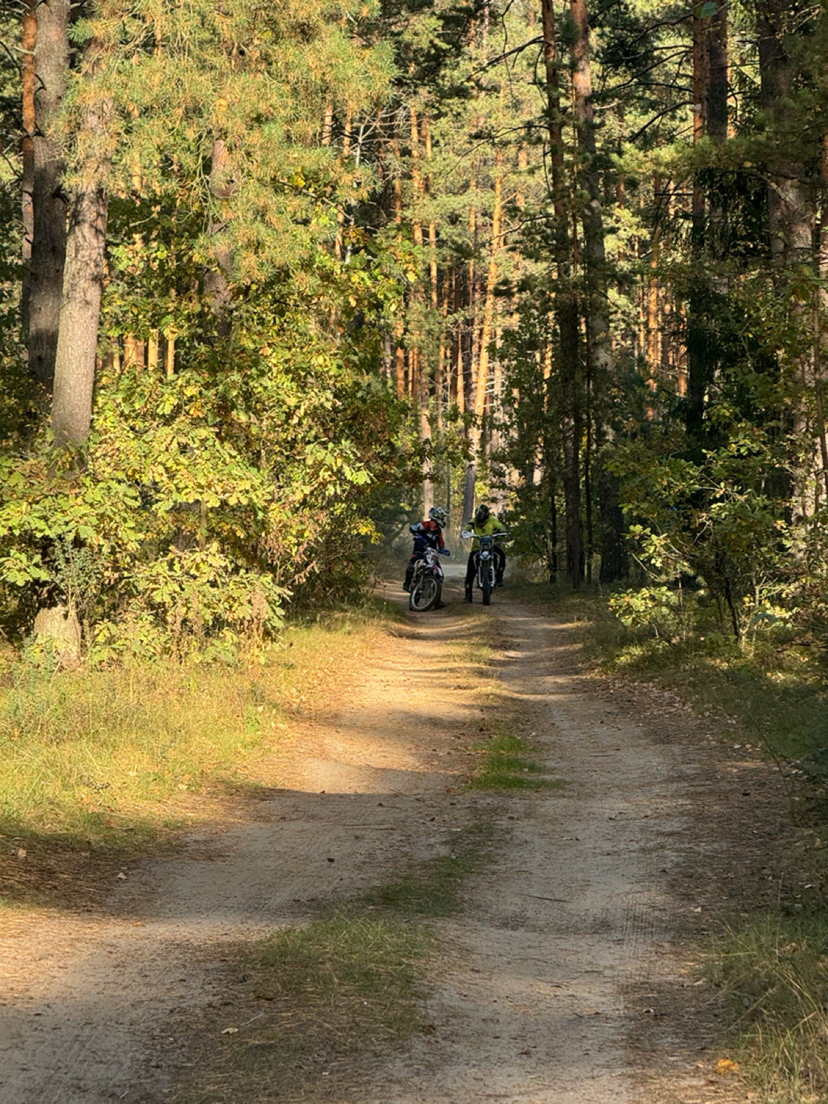 Вчера вернулся с выезда на природу в компании людей, причастных к МИЭМу, обговорили множество технических вещей, получилось сделать для себя некоторые выводы на тему культуры разработки | Сетка — социальная сеть от hh.ru