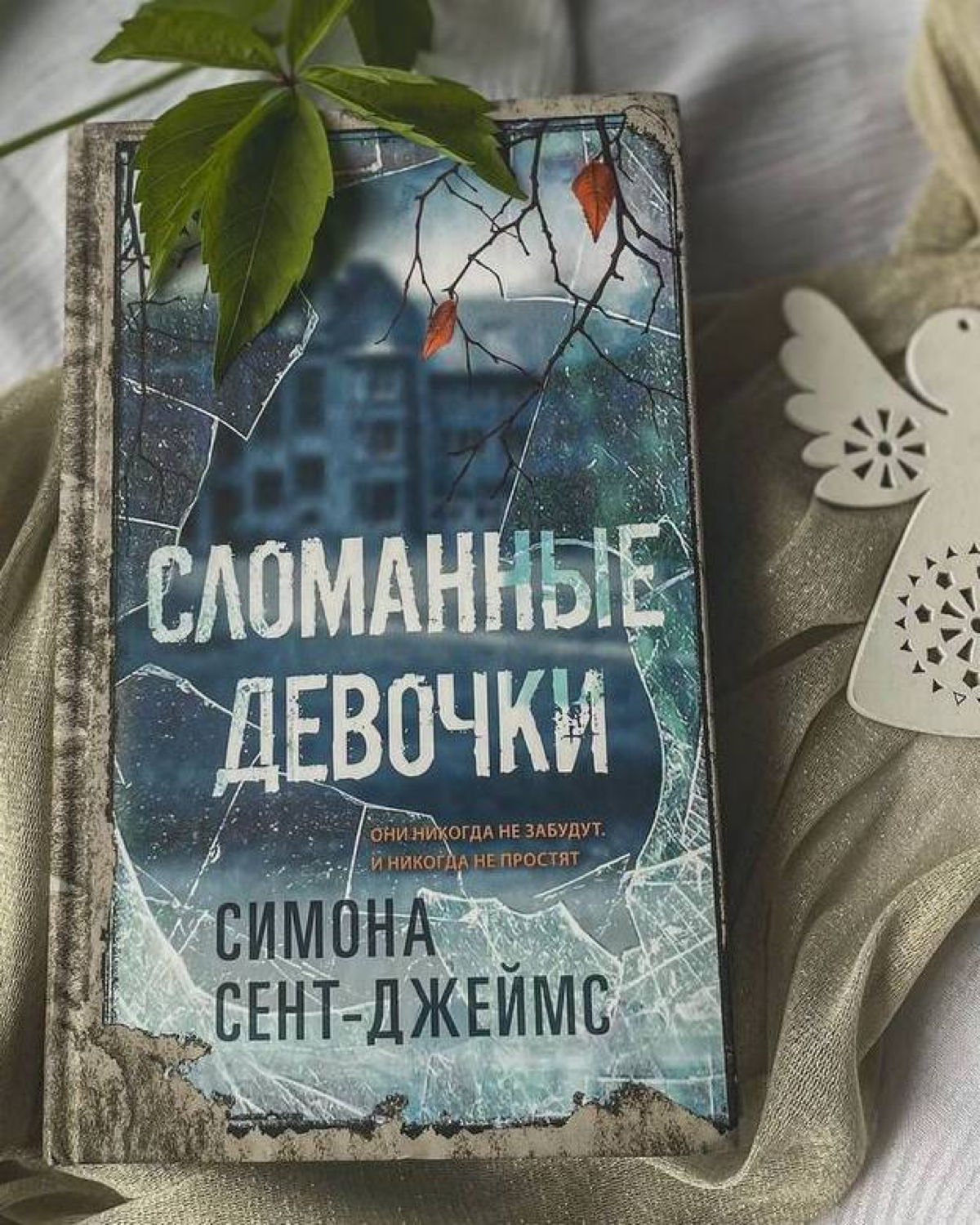 Симона Сент-Джеймс «Сломанные девочки». | Сетка — социальная сеть от hh.ru