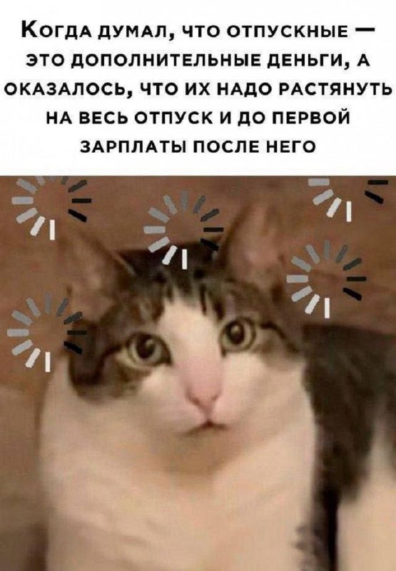 ➡️ отправь в телеге мем коллеге | Сетка — социальная сеть от hh.ru