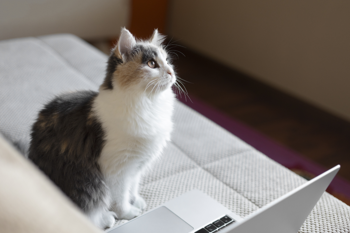 Use Cases (сценарии использования) | Сетка — социальная сеть от hh.ru