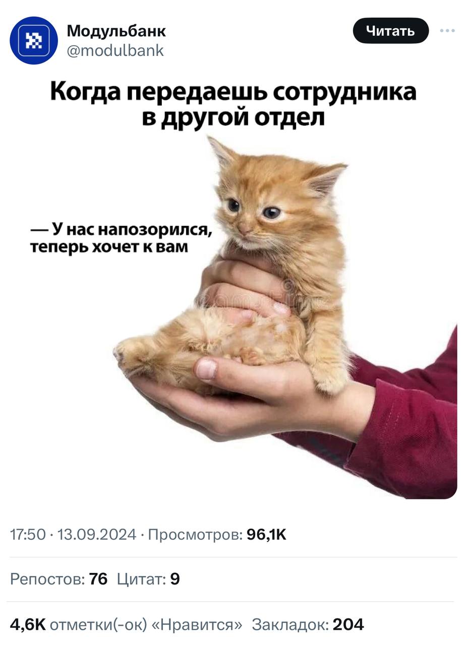 У Авиасейлс появился конкурент
➡️ отправь в телеге мем коллеге | Сетка — социальная сеть от hh.ru