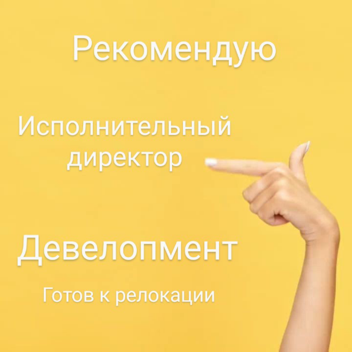 Коллеги, рекомендуем кандидата!
💎 ИСПОЛНИТЕЛЬНЫЙ ДИРЕКТОР / CHIEF VALUE OFFICER
У кандидата более 18 лет опыта в реализации крупных инновационных проектов в девелопменте коммерческой недвижимости и пр... | Сетка — социальная сеть от hh.ru