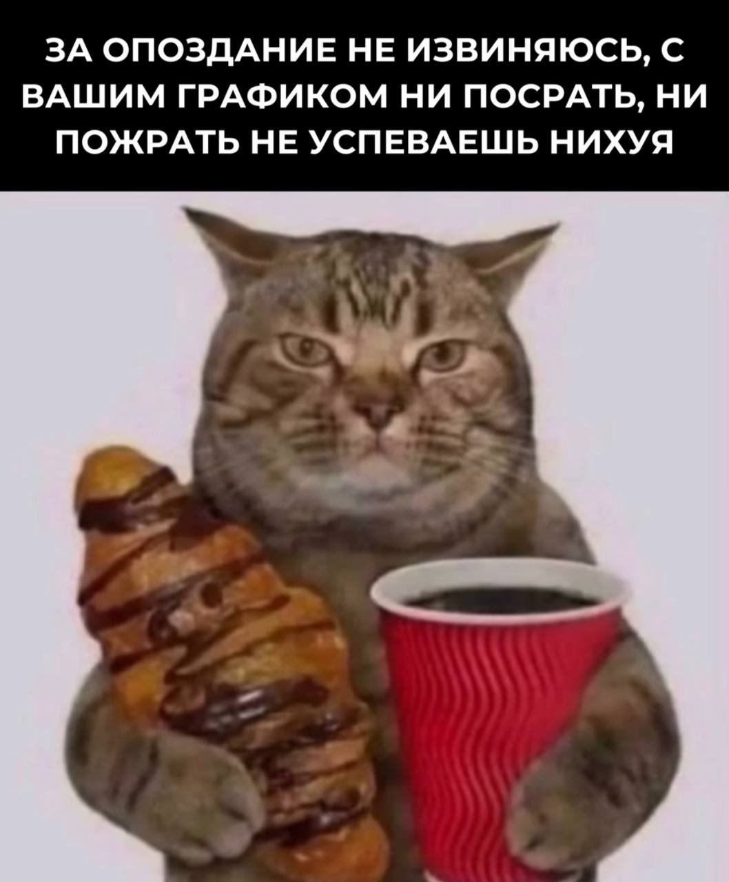 Это я завтра | Сетка — социальная сеть от hh.ru