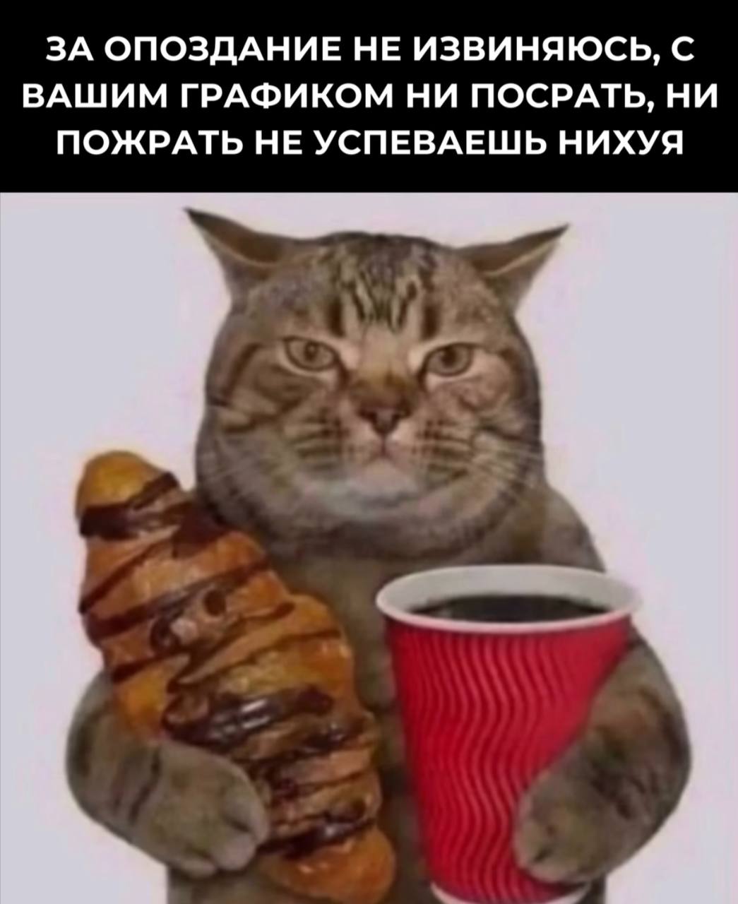 По просьбам подписчиков возвращаю мем | Сетка — социальная сеть от hh.ru