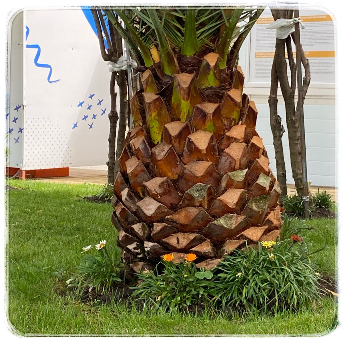 Нормирование
Сочи, а я снова работаю
Сегодня и завтра веду курс по нормированию. Тема сложная и важная | Сетка — социальная сеть от hh.ru