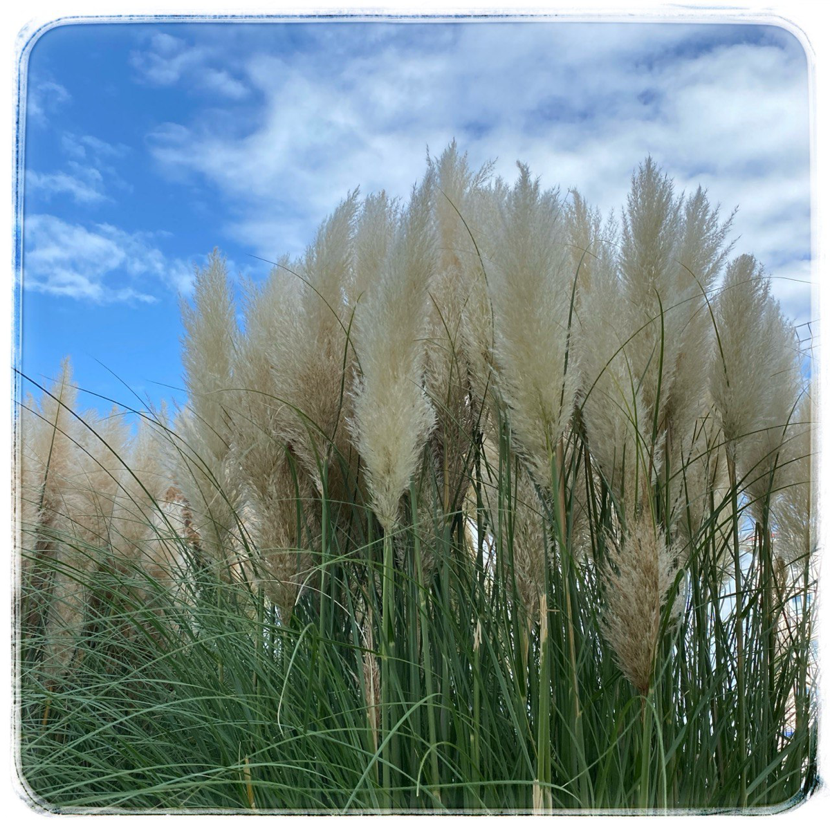 Нормирование
Сочи, а я снова работаю
Сегодня и завтра веду курс по нормированию. Тема сложная и важная | Сетка — социальная сеть от hh.ru