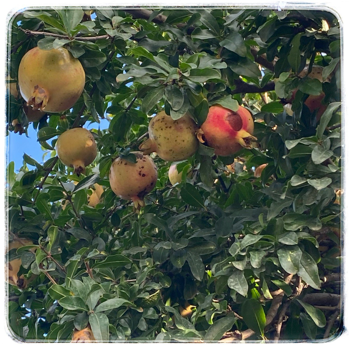 Нормирование
Сочи, а я снова работаю
Сегодня и завтра веду курс по нормированию. Тема сложная и важная | Сетка — социальная сеть от hh.ru