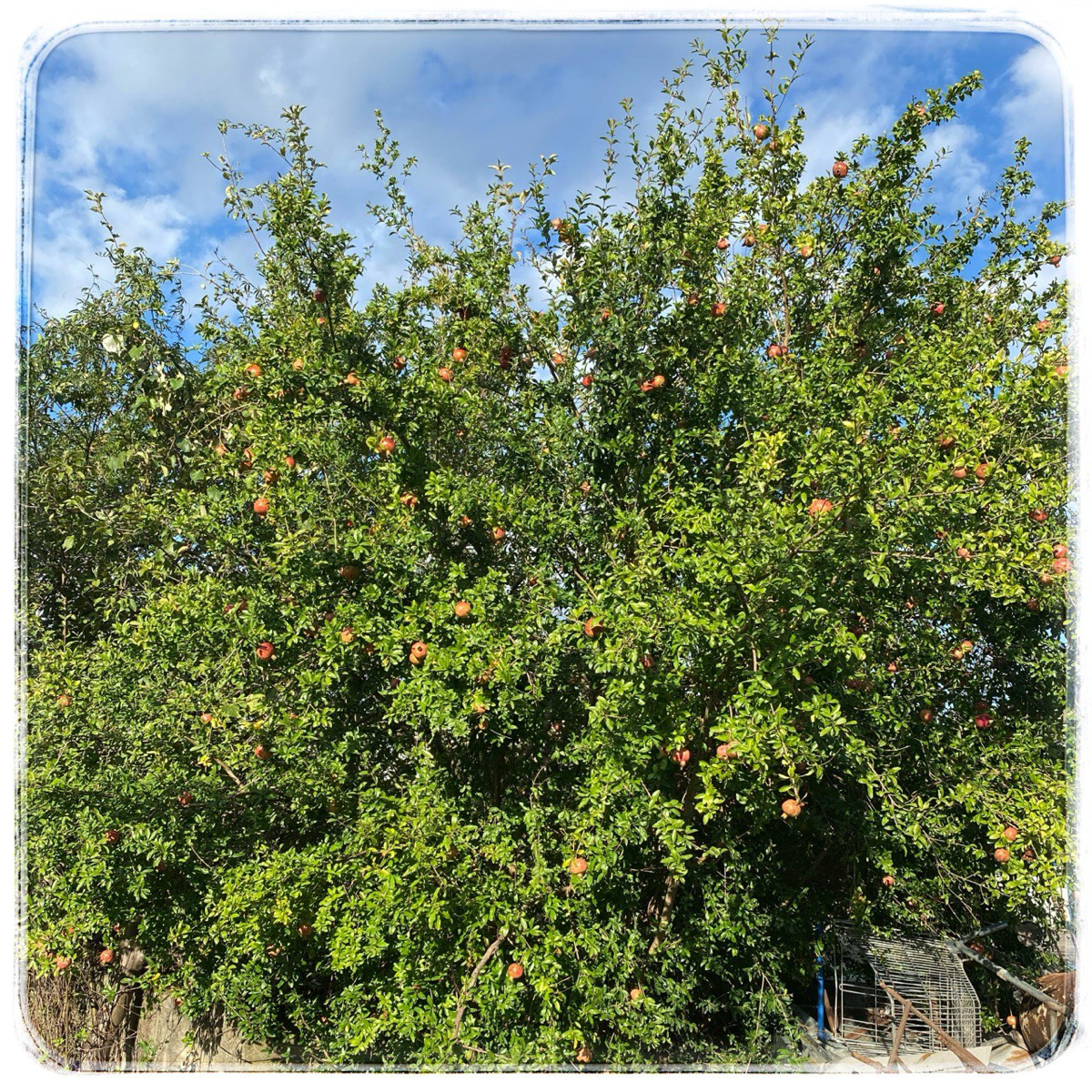 Нормирование
Сочи, а я снова работаю
Сегодня и завтра веду курс по нормированию. Тема сложная и важная | Сетка — социальная сеть от hh.ru